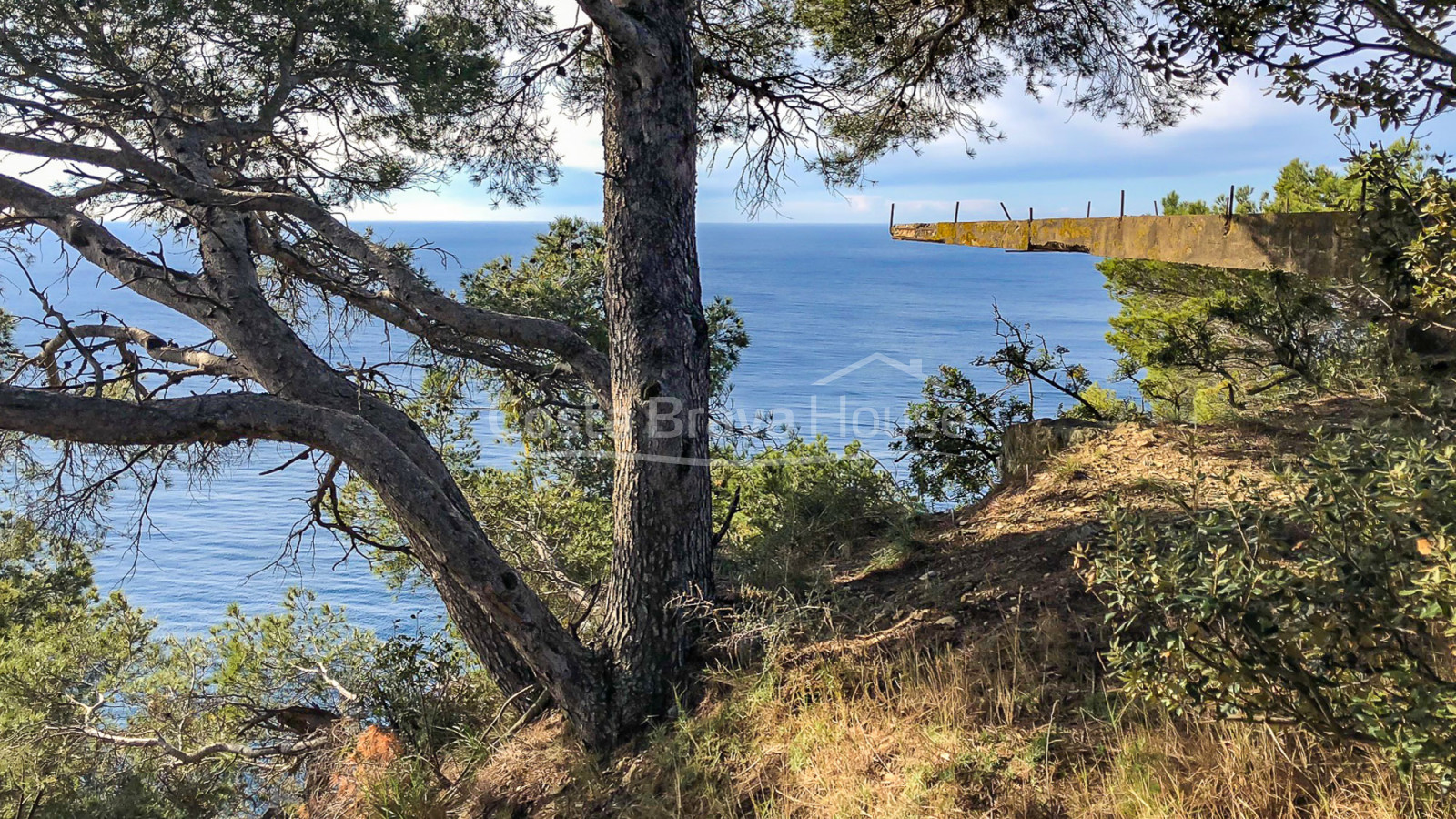 Terreny de 6 ha. amb impressionant panoràmica en venda a Begur