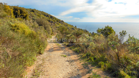 Terrain de 6 ha. avec de superbes vues panoramiques à vendre à Begur