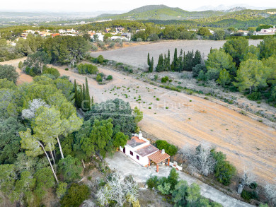 Propietat rústica en venda a Begur, amb terreny de 44.447 m² envoltada de natura, tranquil·litat i privadesa